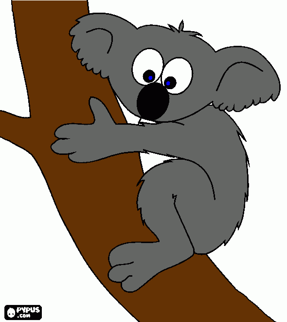 pinta el koala jan